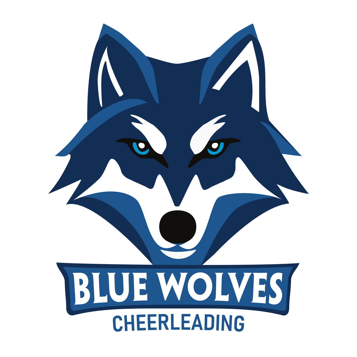 Blue Wolves Cheerleading